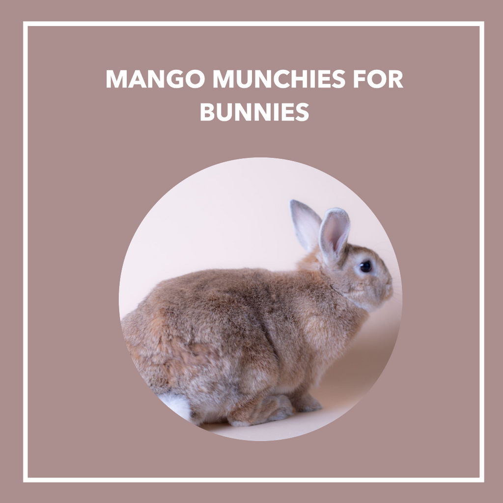 To Mango or not Mango: Can Rabbits Savor this Tropical Delight 