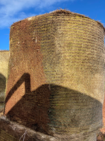 Clean Pasture Hay Round Rolls