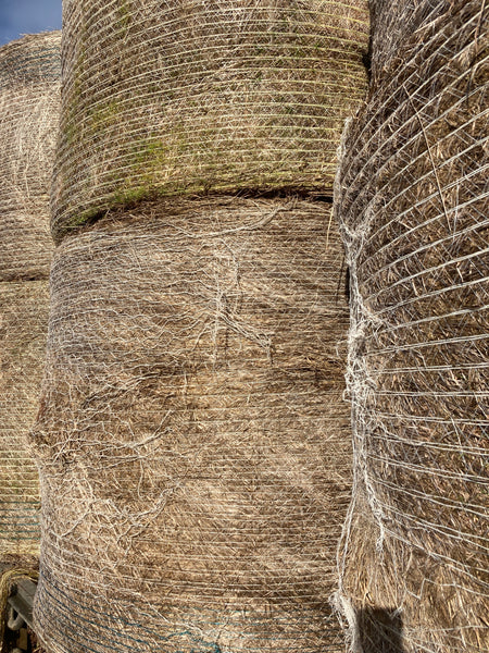 Clean Pasture Hay Round Rolls